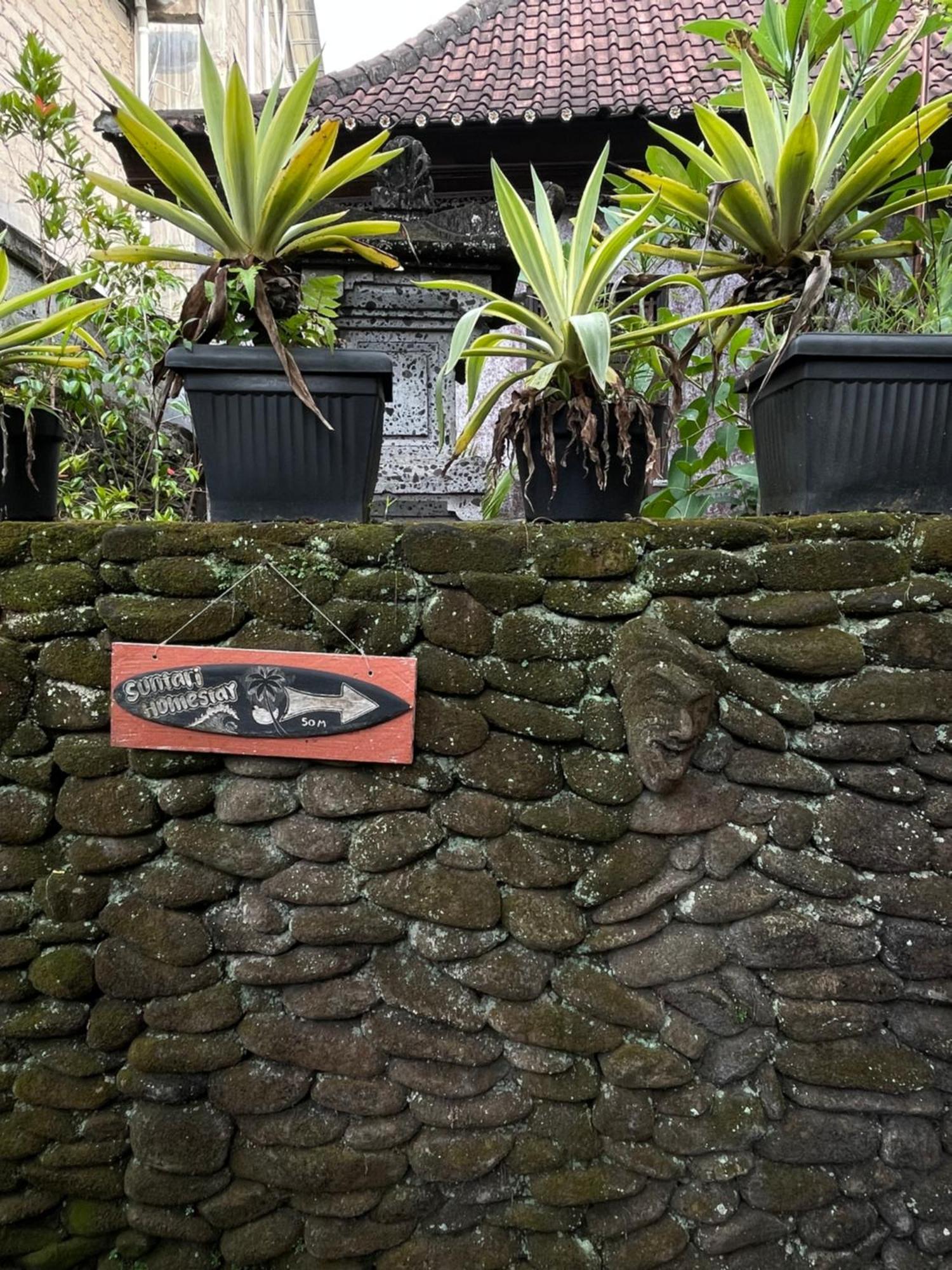 Suntari Homestay Ubud Exteriör bild